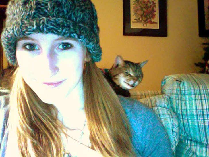 pre_1428593032__guilefulcats09.jpg