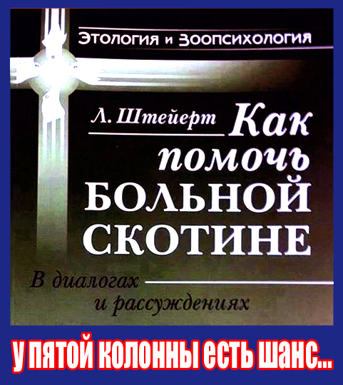 pre_1446035494__2-0-68.jpg