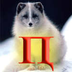 Дикий