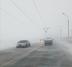 IMG_20200219_120649.jpg