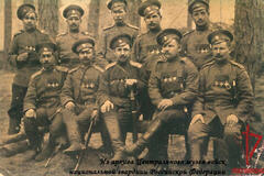 Георгиевские кавалеры Местных войск