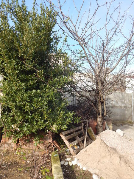 DSCN7753.thumb.JPG.541a8c00afb4d1cb671582904d9bbf46.JPG