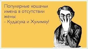 image.jpeg.aae5fbcaf01f7c2a7940bfd7eb7145c7.jpeg
