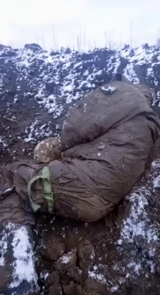 image.thumb.png.0c679b8b9384bab6f11c51af6931efc9.png
